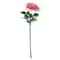 Garden Bloom Orlane Rose Stem Ashland&#x2122;